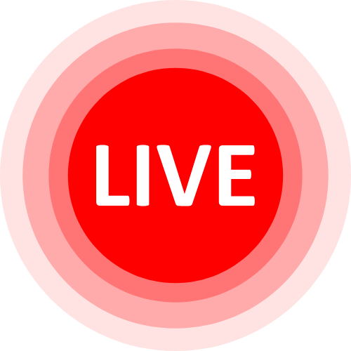 Korean Cam Model